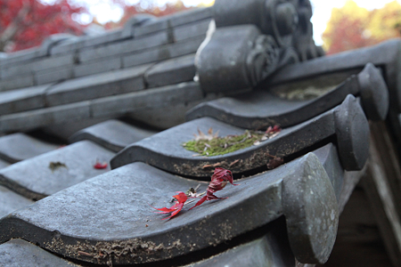 円通寺 - 07