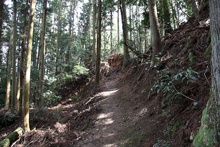 郡山城 - 02