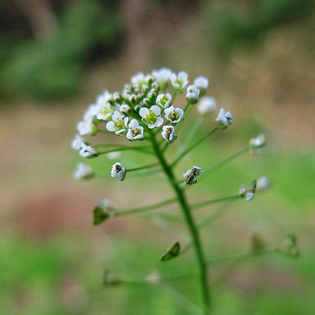DSCF9013