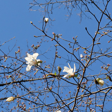 DSCF9231