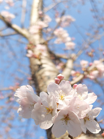 DSCF9785