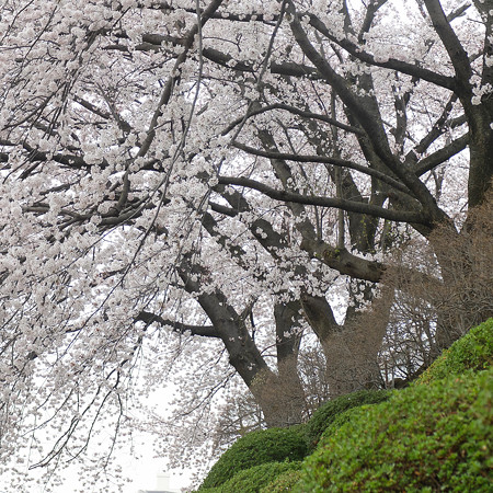 DSCF0386