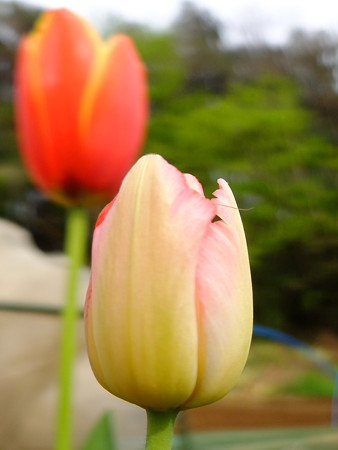 DSCF1904
