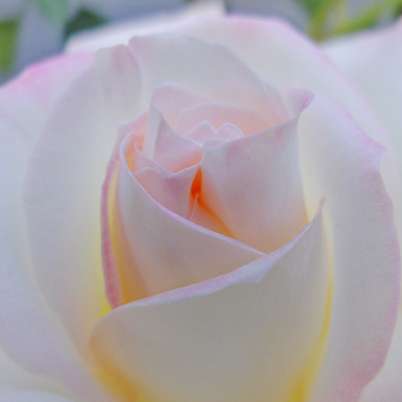 DSCF3750