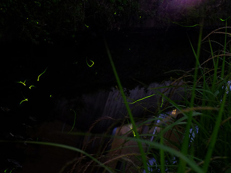 DSCF2048