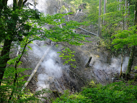 DSCF5424