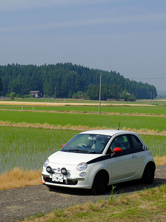 DSCF5781