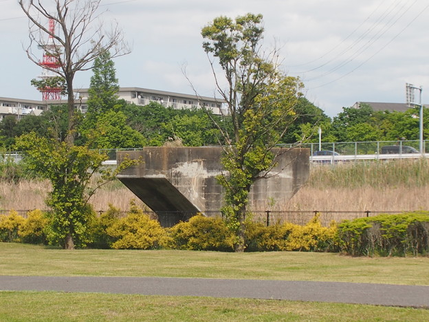 P5032140