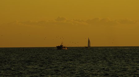 IMGP3056
