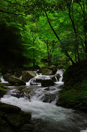 IMGP2185