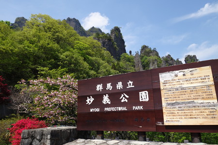 DSC00911