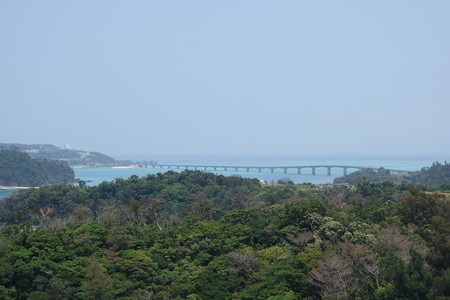 DSC01051