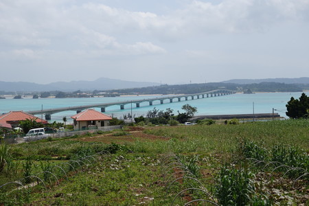 DSC01078