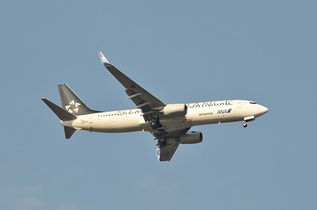 0401N-36-ANA-B737-800-JA51AN