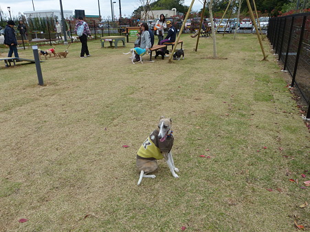 P1060335