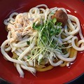 武蔵野うどん（府中市）