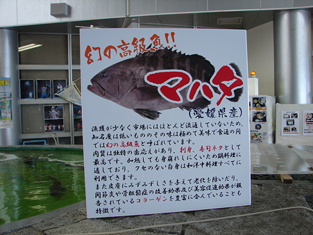 DSC08093