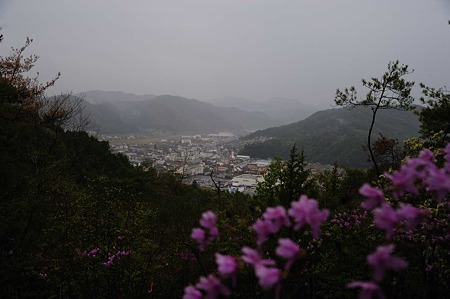 1104271548_DSC_0274