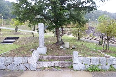 1104271654_P1750307