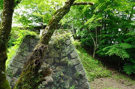 1106231224_DSC_2283