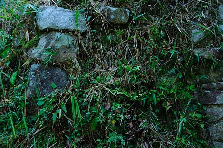 1107120719_DSC_5370