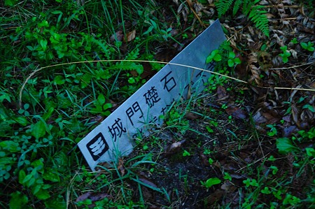 1107120719_DSC_5373