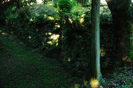 1107120720_DSC_5386