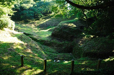 1107120722_DSC_5408