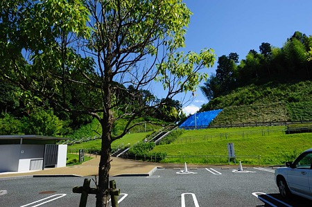 1107120925_DSC_2977