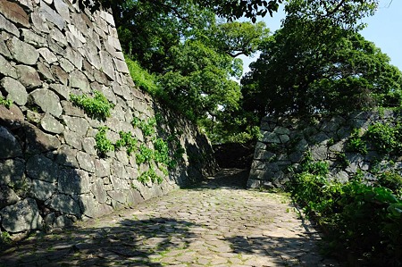 1107121523_DSC_3338