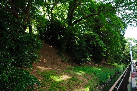 1107121612_DSC_5771