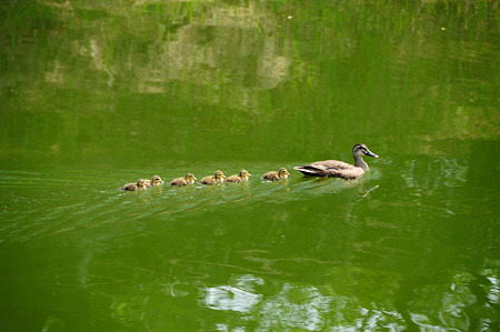 1108140900_DSC_6278