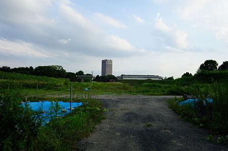 1108151721_DSC_6822