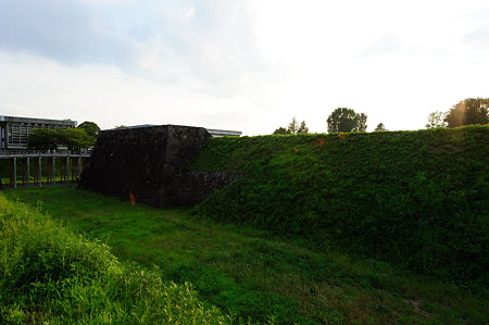 1108151735_DSC_6864