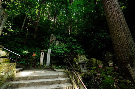 1108160903_DSC_6971