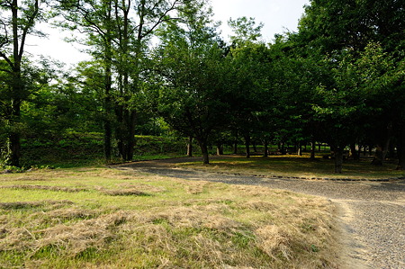 1108161654_DSC_7815