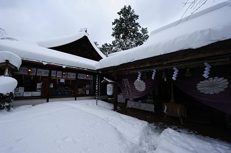1101011054_DSC_6005