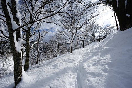 1101011210_DSC_6174