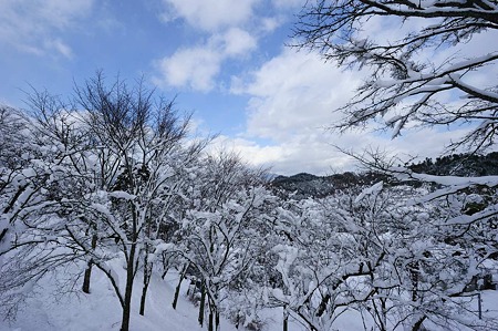 1101011347_DSC_6469