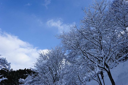 1101011402_DSC_6506