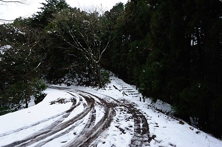 1101021225_DSC_7146
