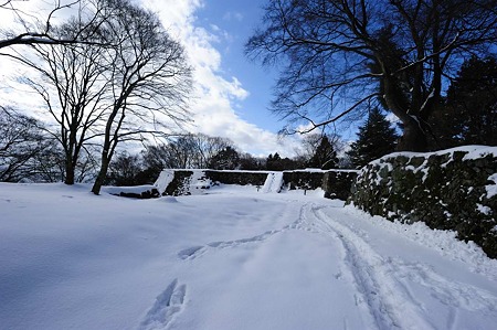 1101021258_DSC_7310