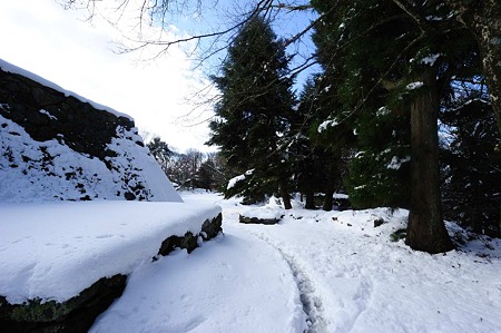 1101021258_DSC_7314