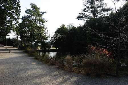 1101031029_DSC_7817