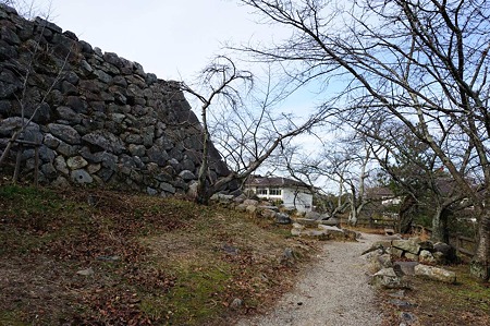 1101031230_DSC_7950