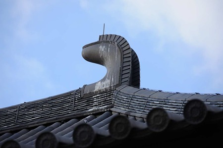 1101041554_DSC_4454