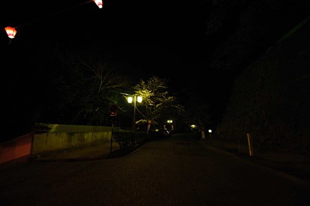 1104121943_DSC_9788