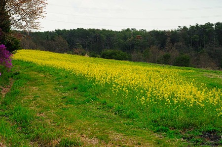 1104271015_DSC_9925