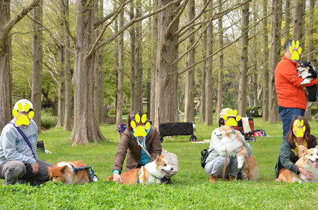 DSC_7399_edited-1