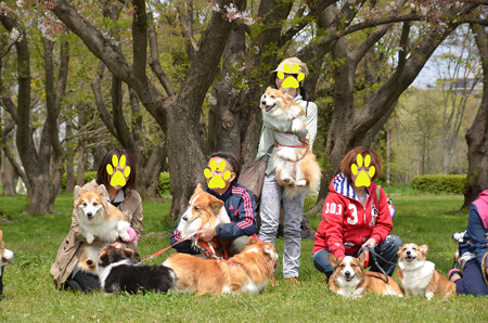 DSC_7254_edited-1